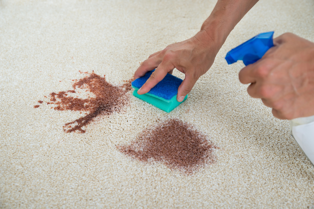 Stain & Odor Removal